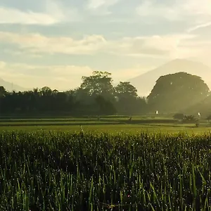 Devi's Place ** Ubud (Bali)