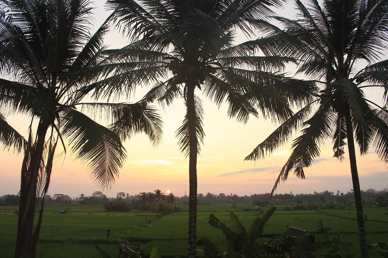 Uma Capung Mas Cottage Ubud  Indonesia